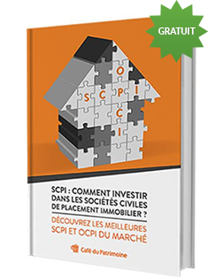 Scpi Comment Investir Dans Les Sociétés Civiles De - 